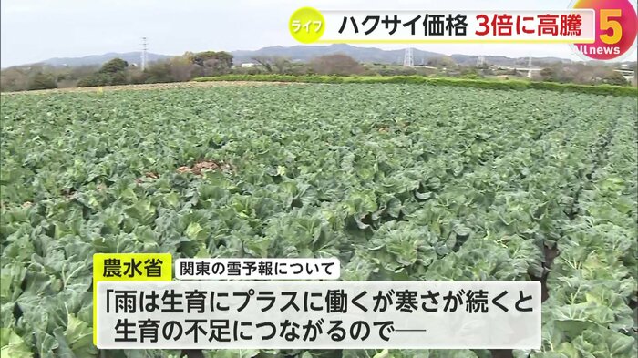 雪や寒波の影響を注視するという農林水産省