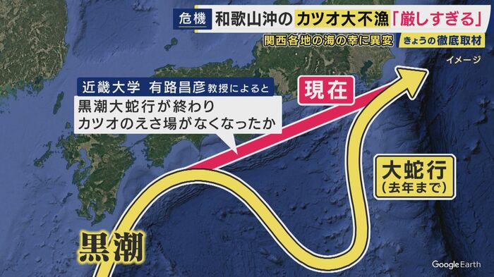 太平洋側ではカツオが大不漁