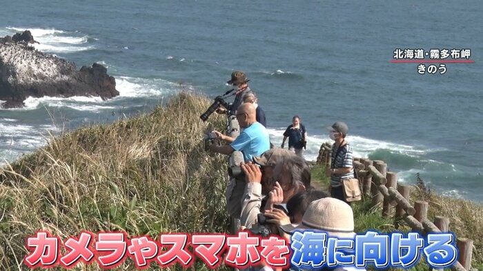 カメラやスマホを海に向けています