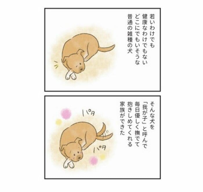 『たまさんちのホゴイヌ2』(世界文化社)より