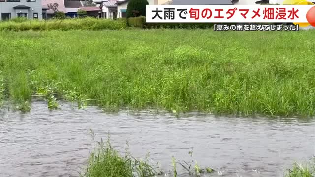 冠水した大館市のエダマメ畑(20日午後1時ごろ)提供:えつりファーム