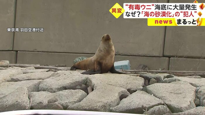 2023年、海の異変が相次いでいる