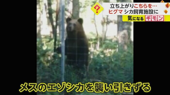 (根室市)