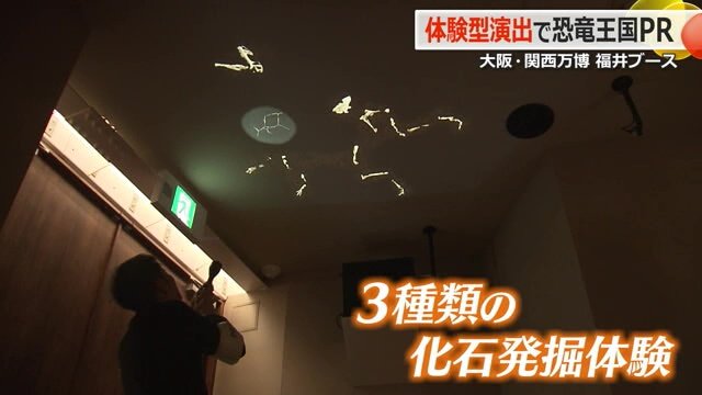 赤外線を当てて化石を“発掘”