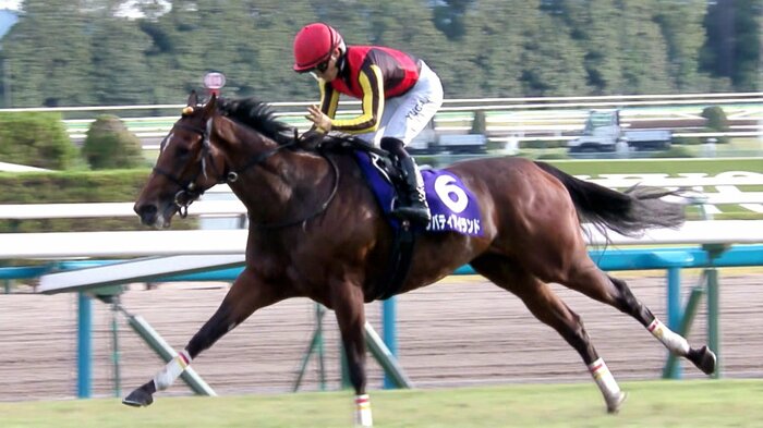 ”3冠牝馬”リバティアイランド