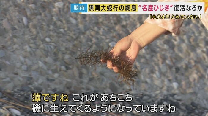“回復の兆し”?