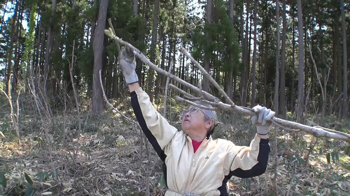 山菜採りの名人・金子貞子さん(69)