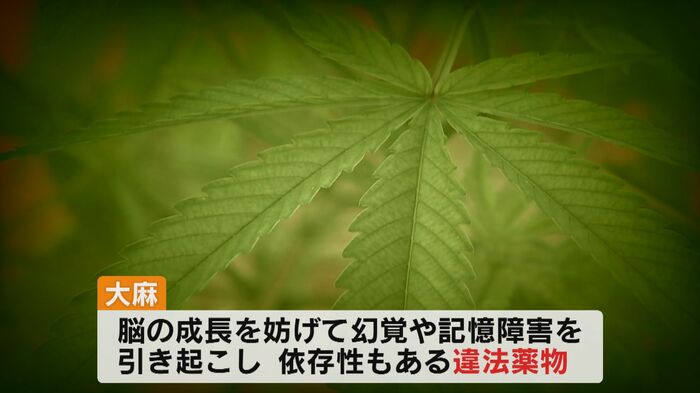 誤った情報が広がる大麻