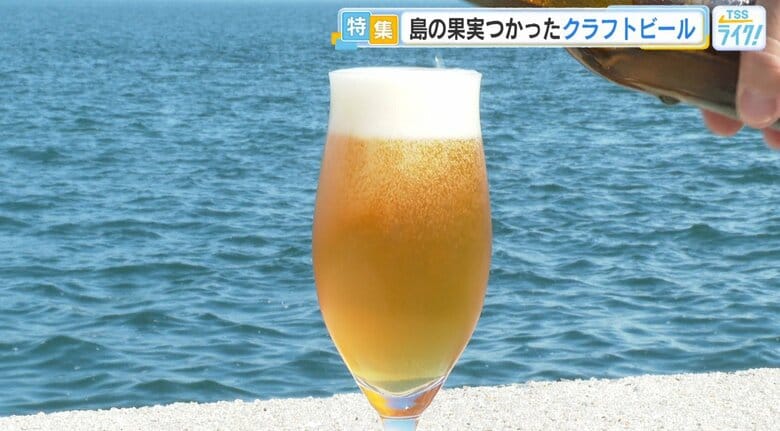 オリジナルクラフトビールをつくる夫婦！ 夏ミカンなど、島のフルーツを活用しようと奮闘！広島・大崎上島｜FNNプライムオンライン