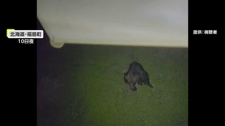 遺体が見つかった草むら付近に…またクマ出現　住宅の軒先にも足跡　近隣住民「用事があっても外を歩けない」北海道福島町｜FNNプライムオンライン