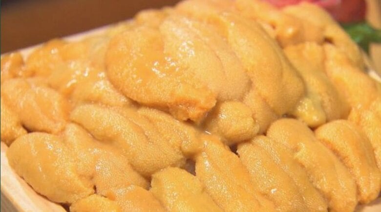 今年はウニ豊漁！積丹で豪華「ウニ丼」に絶景温泉…最高尽くし【北海道発】｜FNNプライムオンライン