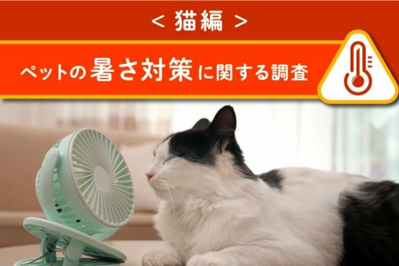 <猫編>ペットの暑さ対策に関する調査