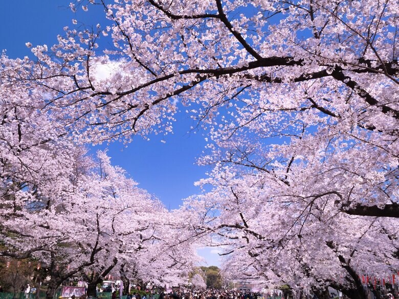 歓送迎会、花見など、人出が増える季節を迎え、今後の感染動向が気になるが・・・。