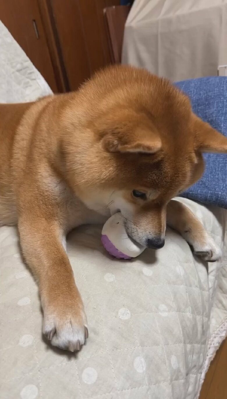 「絶対にボールは渡さない」