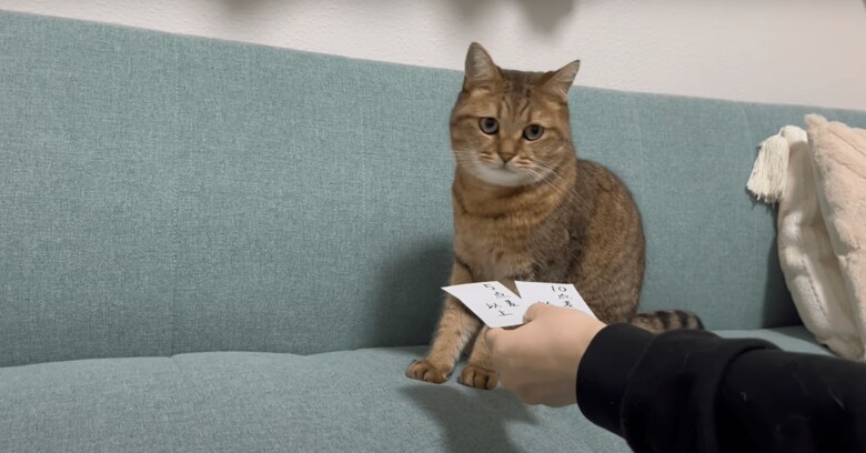 何点差で勝つか聞いてみると…