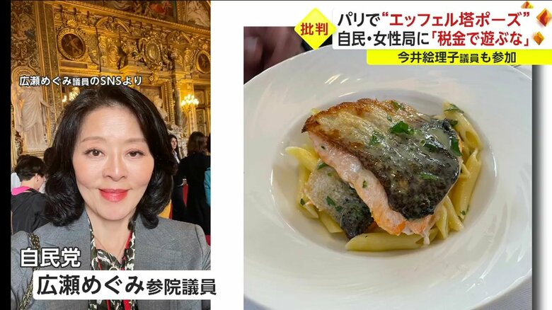 広瀬めぐみ議員のSNSには、「ぜいたく三昧」などと批判が殺到