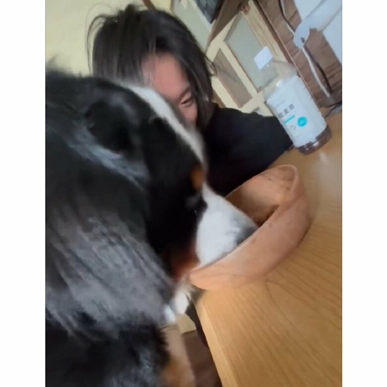 間近で見ている…