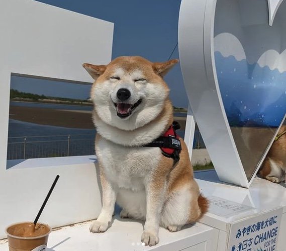 提供：natsumi.nnnさん