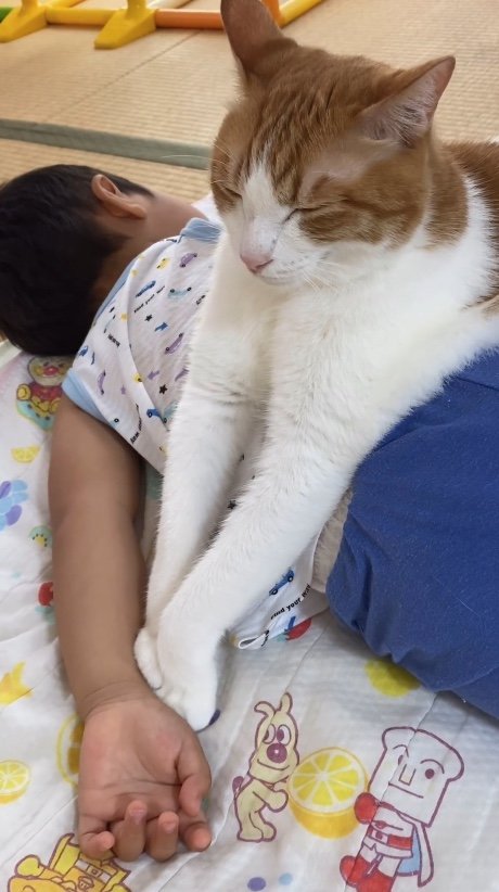 提供：Hassakuさん