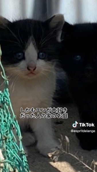 提供：エンとちぃさん