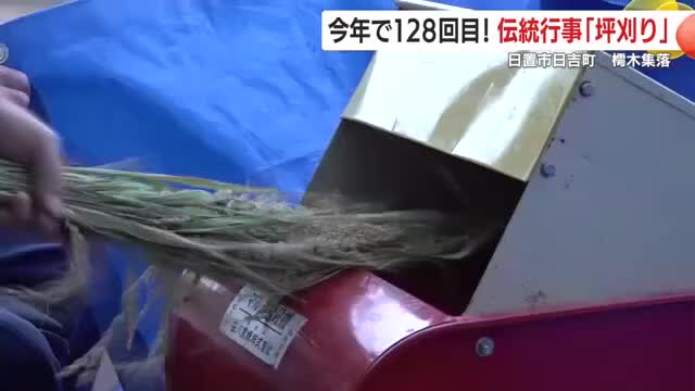 参加者がそれぞれ収穫した稲25株を脱穀機へ