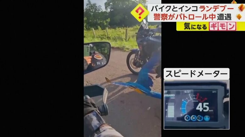 バイクのスピードメーターは45kmを記録（Policia Militar do Tocantins）