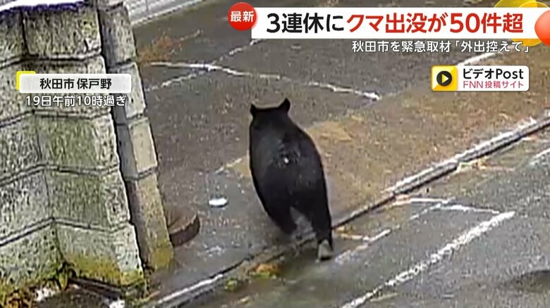 住宅街の道路をのそのそと歩き、そのまま門が開いていた住宅に侵入したクマ