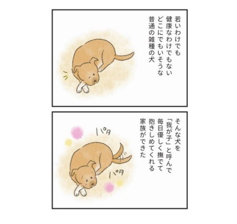 『たまさんちのホゴイヌ2』（世界文化社）より