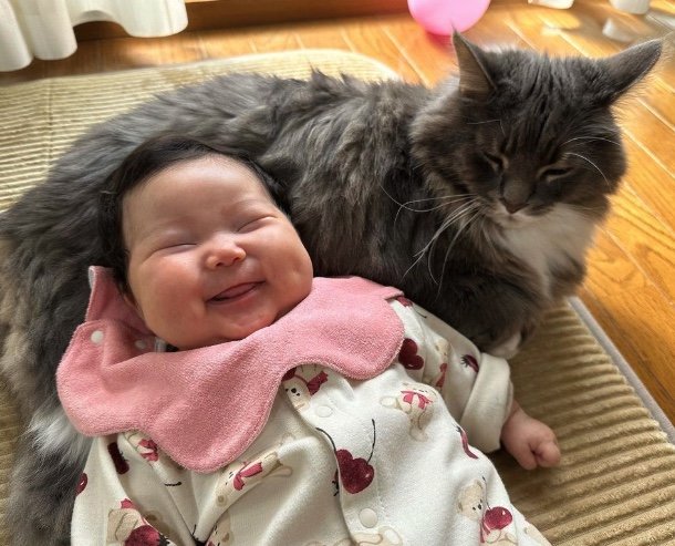 提供：エルモとみみりんさん