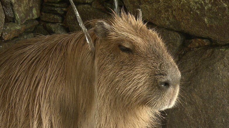 打たせ湯がなかなか気持ちいい♨