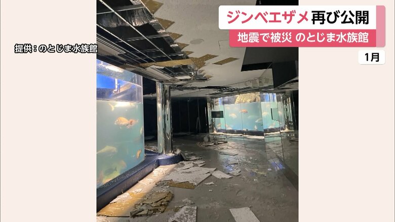 能登半島地震で被災した「のとじま水族館」（1月）