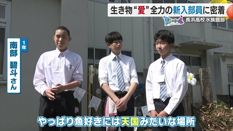 公開水族館デビューの日を迎えた