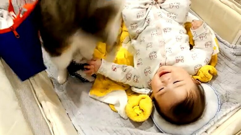 シュンっと立ち去ってしまう