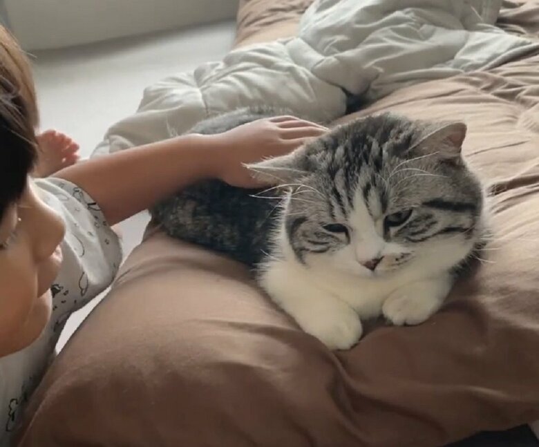 ムチくんがふにちゃんをなでなで