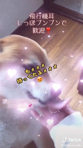 「おかえり！」の大歓迎