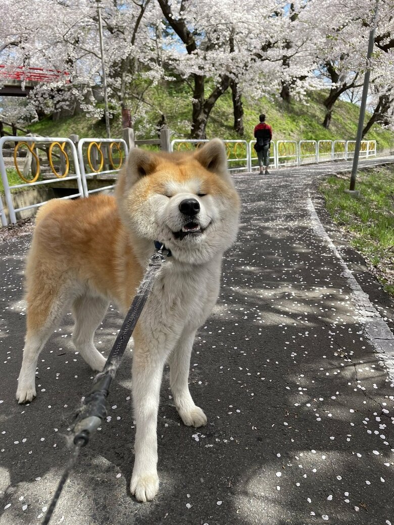 春になっても帰りたくない！