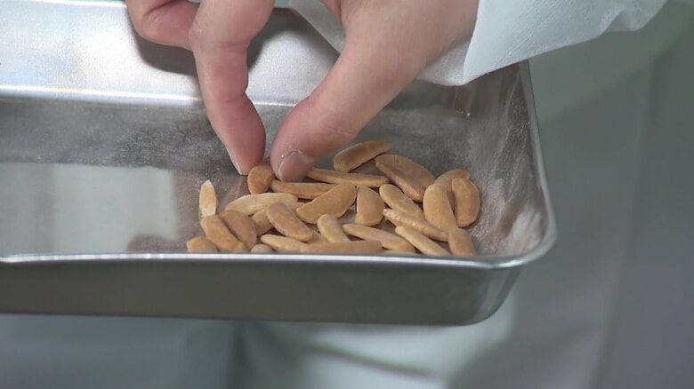 熱々のできたて