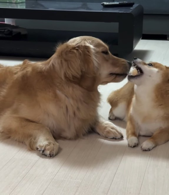 提供：うにandおからさん