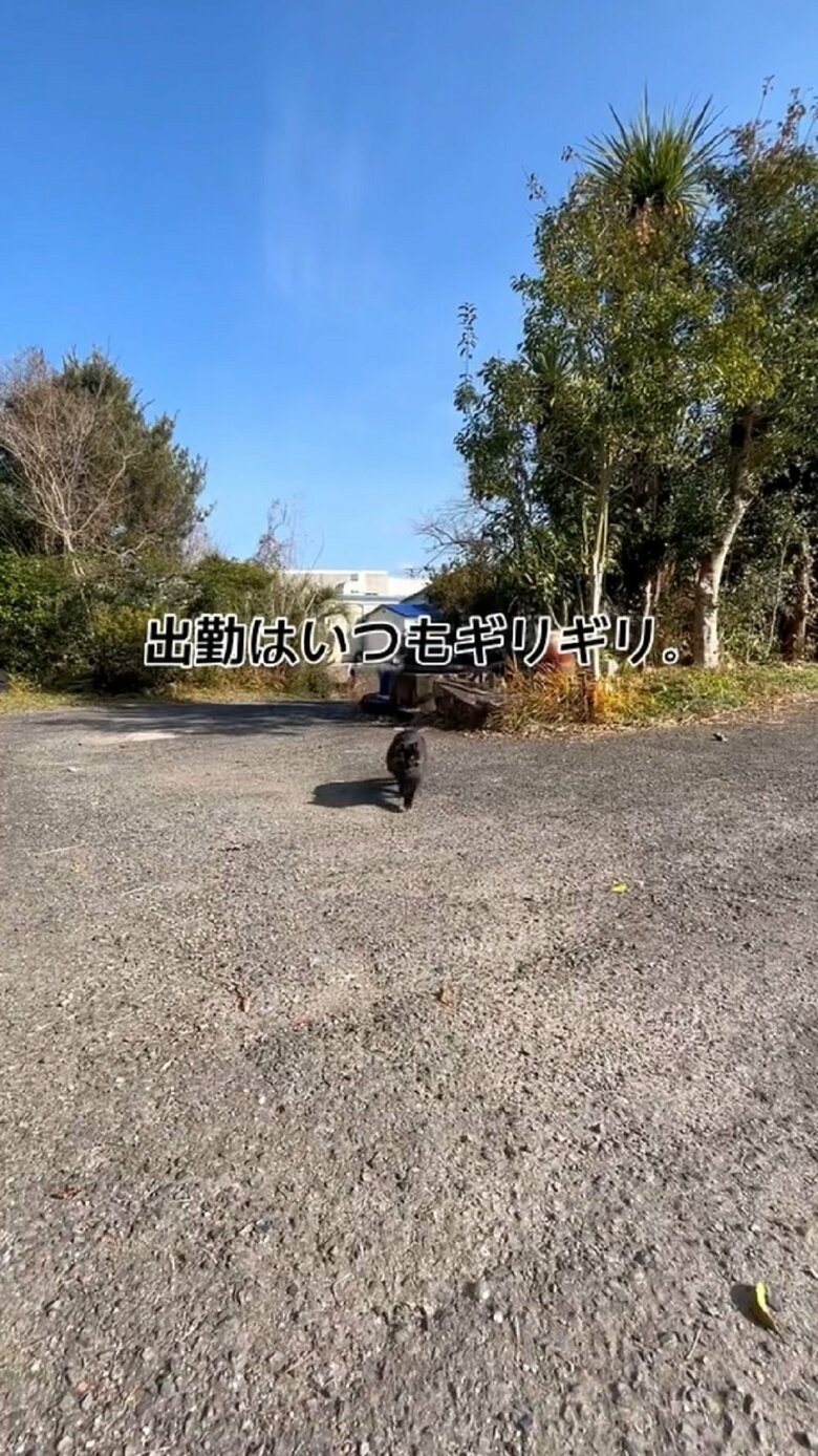 出勤　いつもギリギリ