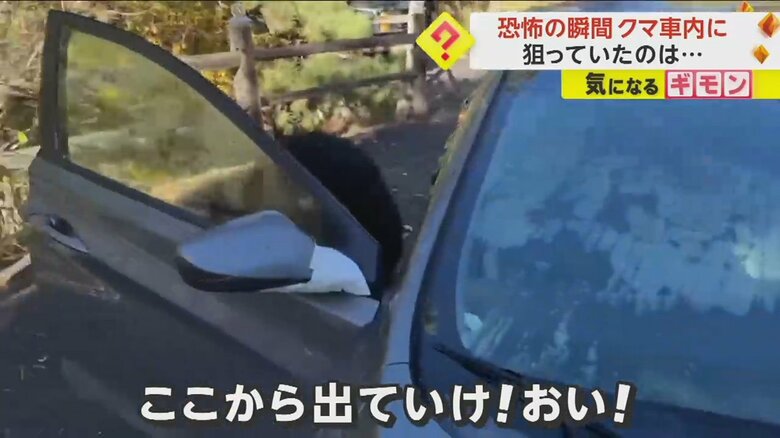 「出て行け！」と言われ、車から出ていくクマ①