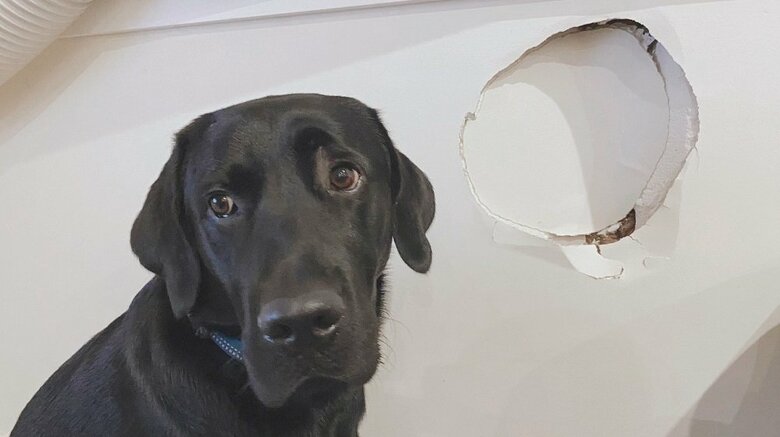 えんぞうくんの最大級の破壊