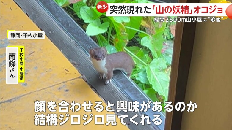 （提供：@yamanuts3193）