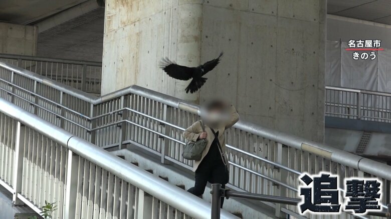 頭を守りながら逃げる女性に何度も襲いかかる