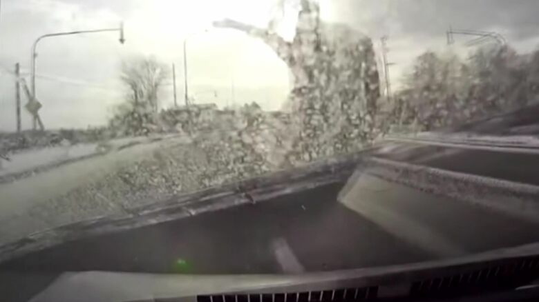 シカと車両の接触事故（提供：北海道警察）