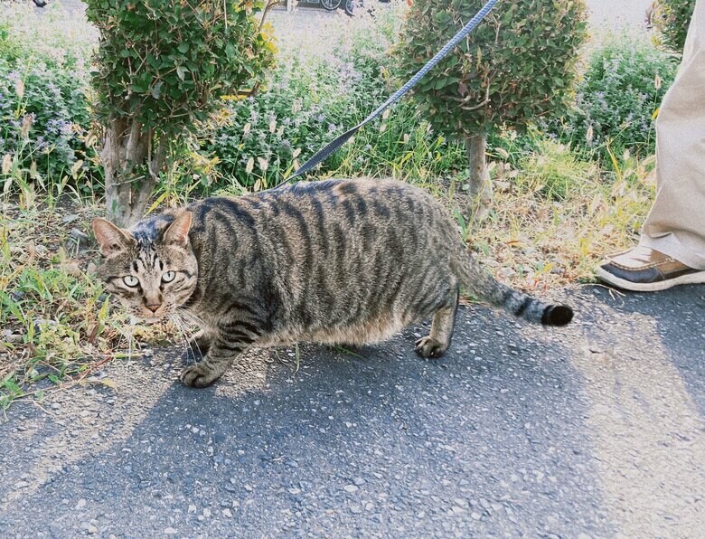 ビワくん（提供：サユヤスさん）