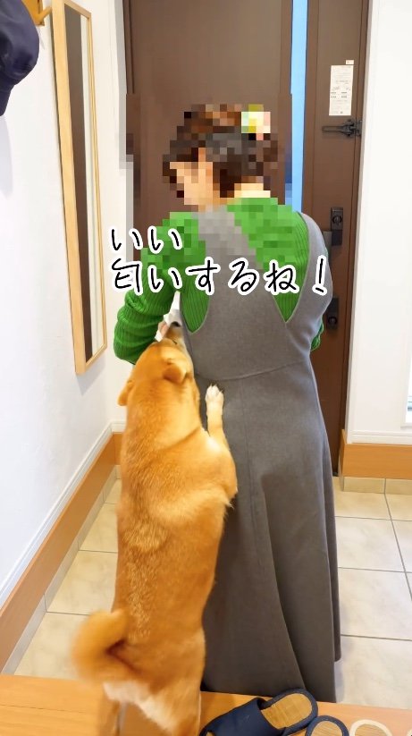またまたいい匂いがするね！（提供：柴犬 むぎさん）