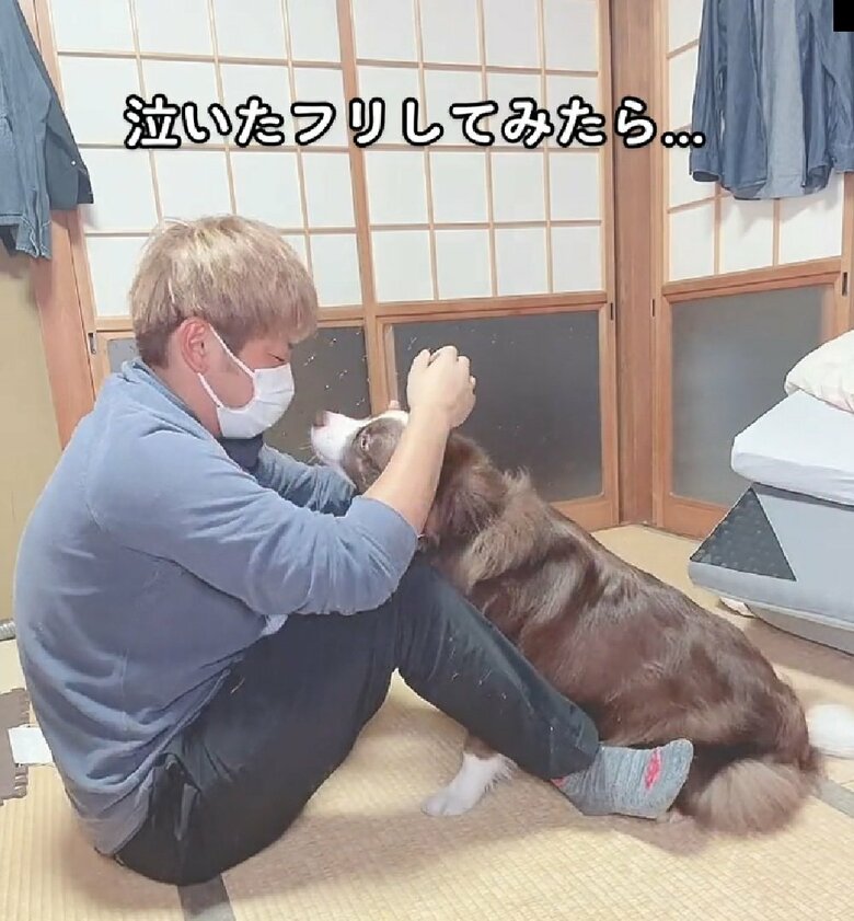 優しいテールちゃん