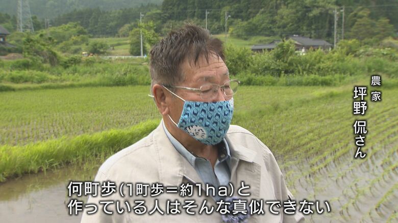 更なる減農薬は難しいと話す坪野さん