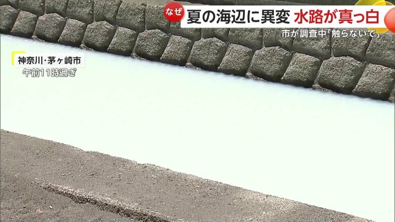 水が真っ白に濁り、底がまったく見えない水路（午前11時過ぎ、神奈川・茅ヶ崎市の海辺）