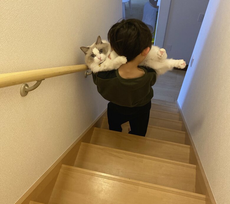猫吸いしながら階段をおりる息子さん